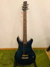 AcePro  Electric guitar [April 15, 2019, 3:47 pm]