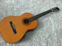 Admira Paloma Classic guitar [April 19, 2019, 2:58 pm]