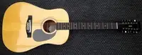 Hondo H160A Acoustic guitar 12 strings [June 24, 2019, 7:22 pm]