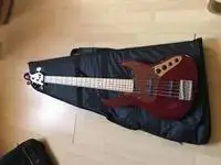 Edwards E-AM-160QM Basgitara 5 strún [May 31, 2019, 7:44 am]