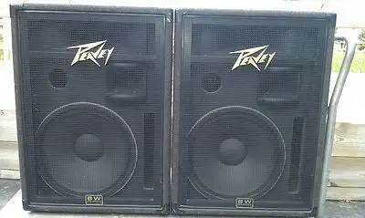 Peavey International Series III 115 Loudspeaker