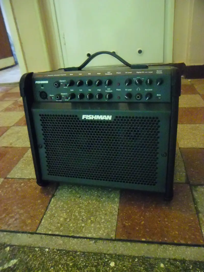 Fishman Loudbox 100 Acoustic guitar amplifier