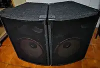 Cerwin Vega Prostax PS 15 Lautsprecher [June 22, 2019, 11:43 pm]