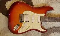 Cruzer Custom Stratocaster E-Gitarre [August 9, 2019, 10:06 am]