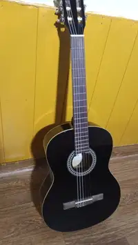 Giannini  Guitarra clásica [July 28, 2019, 6:43 pm]
