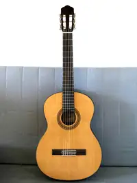 Flight C-100 Guitarra clásica [August 5, 2019, 12:50 pm]