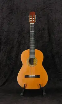 Alvaro No.70 Elektro-Akkustik Guitarre [January 22, 2020, 12:14 pm]