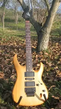 Cheri SL-1000 Guitarra eléctrica [November 29, 2019, 9:12 pm]