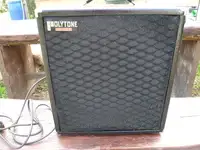 Polytone Mini brute III Guitar combo amp [November 3, 2019, 3:57 pm]