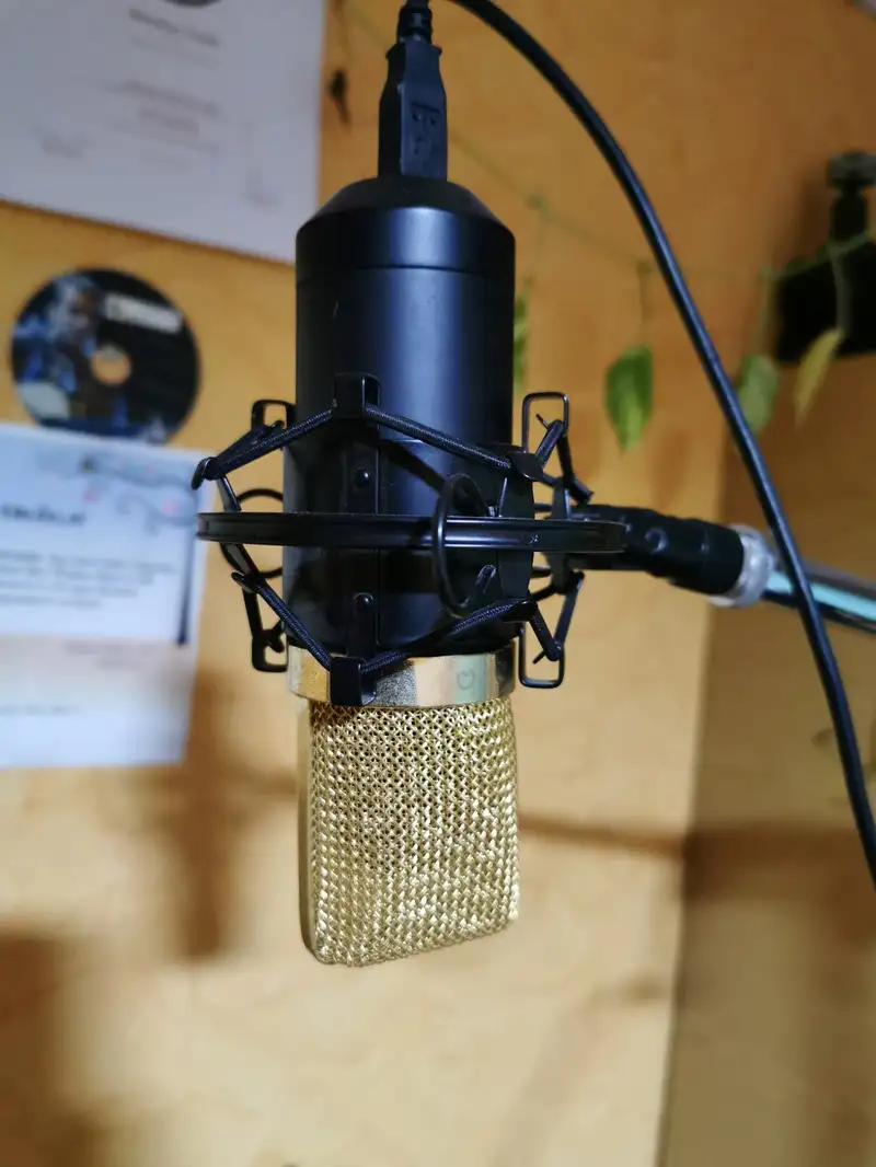  MIC 900BG USB Studiomikrofon