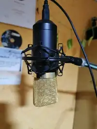 Auna MIC 900BG USB Studiomikrofon [November 8, 2019, 10:31 pm]