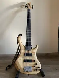 Blasius  Bass guitar 5 strings [November 28, 2019, 8:11 am]