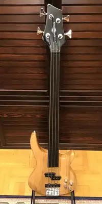 Gear4music Chicago Fretless Bass Bass guitar [January 11, 2020, 7:22 pm]