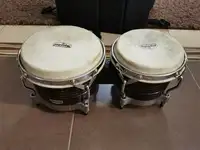 Latin Percussíon Matador Bongo [January 17, 2020, 9:40 pm]