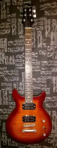 Career CG-32 Evolution Series PRS-Style E-Gitarre [February 3, 2020, 8:27 am]