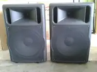 FS Audio PRO 15 N Speaker pair [February 21, 2020, 1:53 pm]