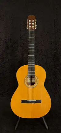 Admira Juanita Classic guitar [February 25, 2020, 12:18 am]