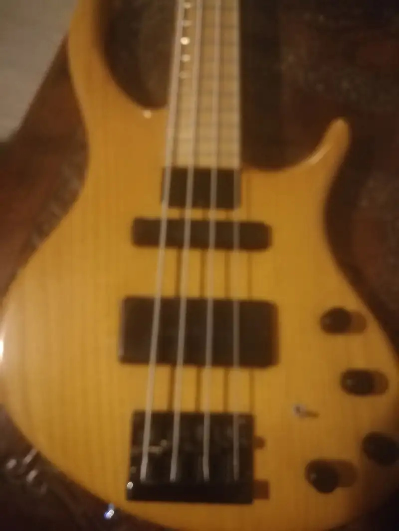  Renegade Bass Gitarre