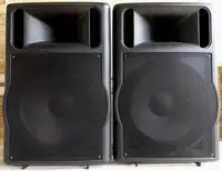 FS Audio PRO 15N Hangfalpár [2020.03.04. 19:37]