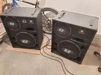 Dinacord E153S Speaker pair [March 13, 2020, 5:18 pm]