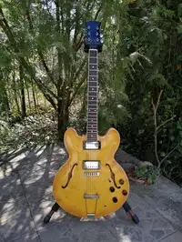 Custom made Jazz Electric guitar [May 4, 2020, 11:59 am]