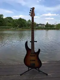 Modulus Genesis Basgitara [May 14, 2020, 10:54 am]