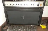 Custom made Fane Pulsonic Loudspeaker [June 5, 2020, 11:19 am]