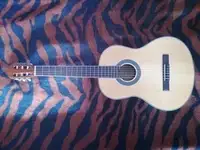 Pasadena CG1 Klassiche Gitarre [June 17, 2020, 7:58 pm]