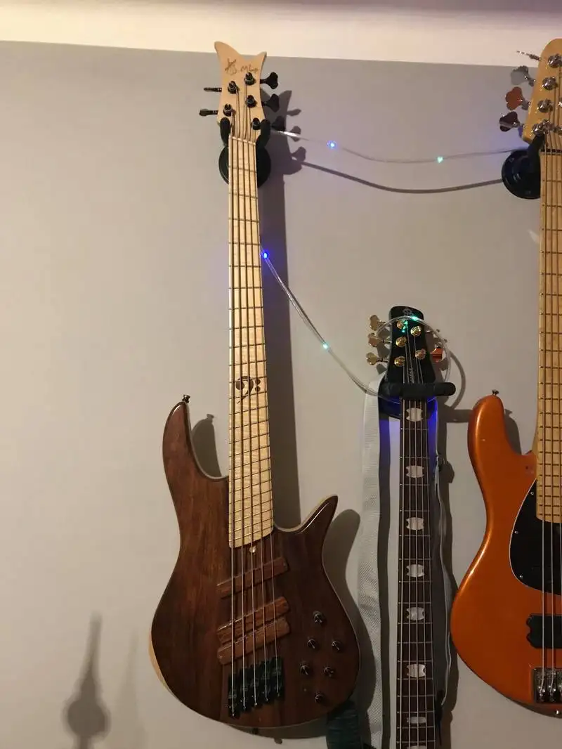  Custom Fanfret 5 Bass guitar 5 strings