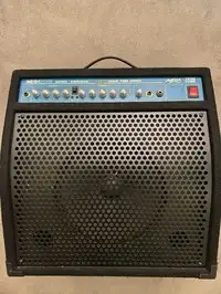 Mega Amp T60R Guitar combo amp [June 27, 2020, 1:41 pm]