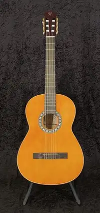 Roling`s MG-917N Classic guitar [July 2, 2020, 1:12 am]