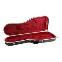 Hiscox Pro-II StratTele Guitar case [September 14, 2020, 10:44 am]