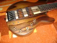 Woodhead Jumbo 5-Saiter Bass-Gitarre [January 10, 2022, 2:37 pm]