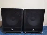 FS Audio Y audio dys 118c Loudspeaker [September 30, 2020, 1:56 pm]