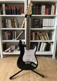 Flight Stratocaster Guitarra eléctrica [October 16, 2020, 11:53 am]