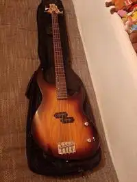 Greg Benett  Basszusgitár [2020.10.28. 11:10]