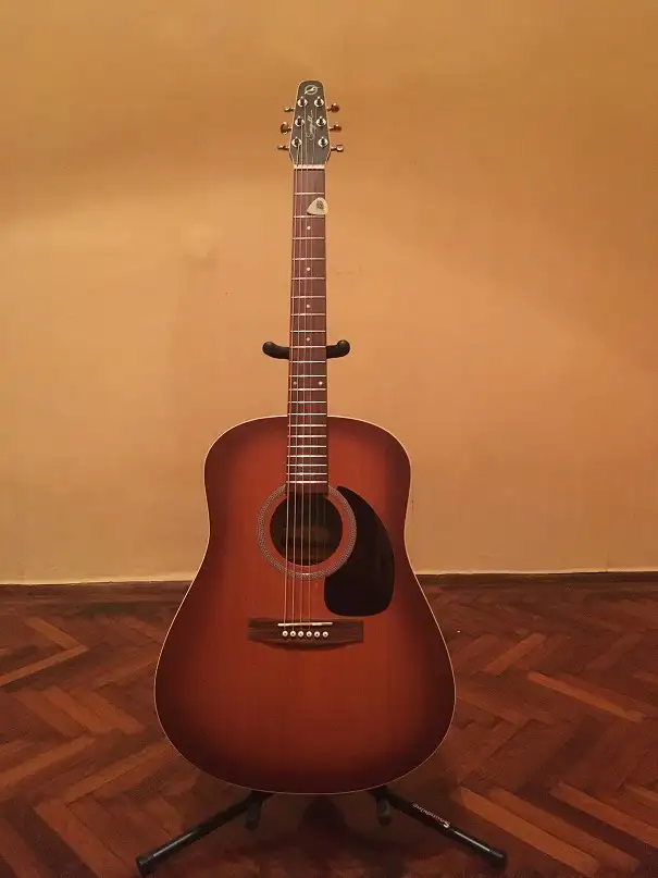 Seagull Entourage Akustická gitara