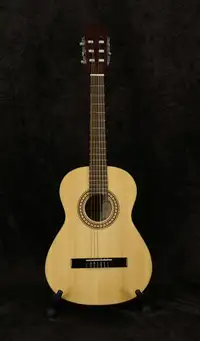 Toledo TC601-34 34 Akustikgitarre [September 20, 2021, 2:48 pm]