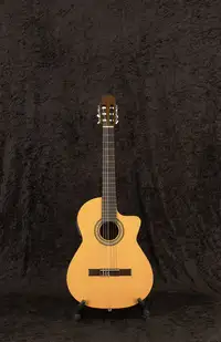 Alvaro No. 800 EC Akustikgitarre [June 22, 2021, 3:08 pm]