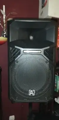 Elder Audio B3 Tunder Active speaker [January 11, 2021, 6:25 am]