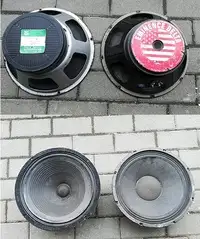 Goodmans  Speaker [February 22, 2021, 9:24 pm]