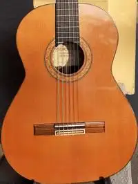 Raimundo 130 Classic guitar [November 24, 2021, 1:54 pm]