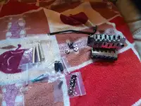 Grass Roots  Trémolo [March 21, 2021, 12:03 pm]