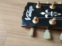 Vantage Les Paul v100 E-Gitarren-Set [April 2, 2021, 2:11 pm]