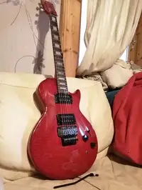 Grass Roots Lp FR Guitarra eléctrica [April 8, 2021, 10:20 am]