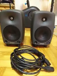Genelec 8030A Monitor activo [May 19, 2021, 7:58 am]