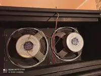 Fane 212 Guitar cabinet speaker [July 6, 2021, 1:05 pm]