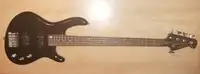 East Nyak, Cort test Basgitara 5 strún [July 7, 2021, 9:48 pm]