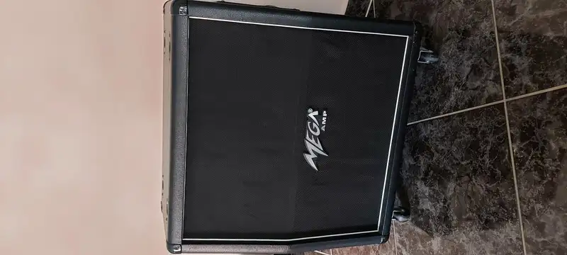   Guitar cabinet speaker