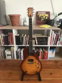 Chapman ML-2 Elektrická gitara [July 21, 2021, 10:44 am]